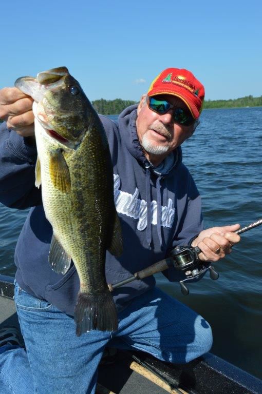 Largemouth bass